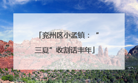 兖州区小孟镇：“三夏”收割话丰年
