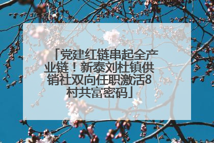 党建红链串起全产业链！新泰刘杜镇供销社双向任职激活8村共富密码