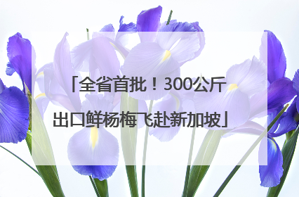 全省首批！300公斤出口鲜杨梅飞赴新加坡