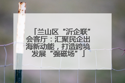 兰山区“沂企联”会客厅：汇聚民企出海新动能，打造跨境发展“强磁场”