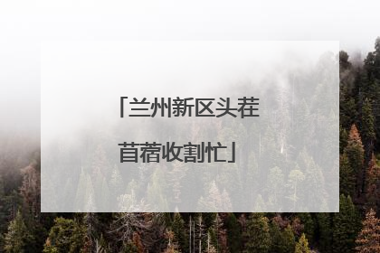 兰州新区头茬苜蓿收割忙