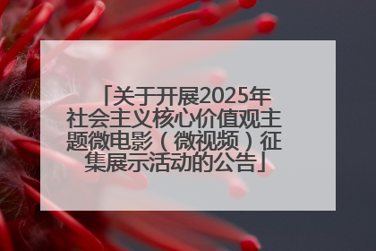 关于开展2025年社会主义核心价值观主题微电影（微视频）征集展示活动的公告