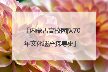 内蒙古高校团队70年文化遗产探寻史