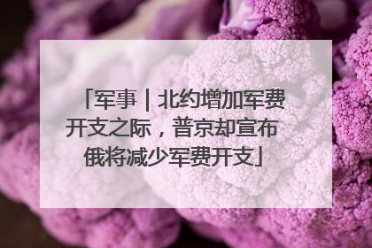 军事｜北约增加军费开支之际，普京却宣布俄将减少军费开支