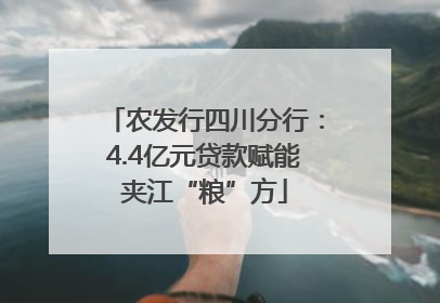 农发行四川分行：4.4亿元贷款赋能夹江“粮”方