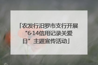 农发行汨罗市支行开展“6·14信用记录关爱日”主题宣传活动