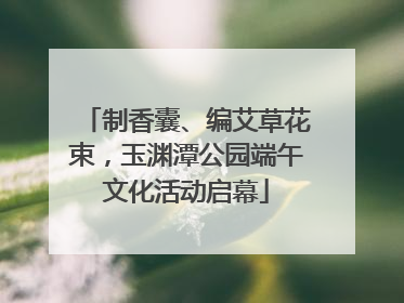 制香囊、编艾草花束，玉渊潭公园端午文化活动启幕