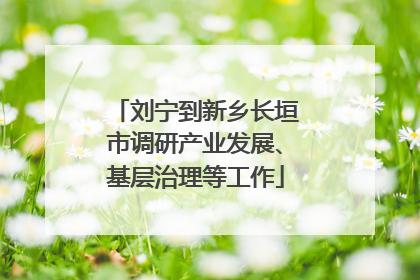 刘宁到新乡长垣市调研产业发展、基层治理等工作