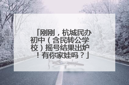 刚刚，杭城民办初中（含民转公学校）摇号结果出炉！有你家娃吗？