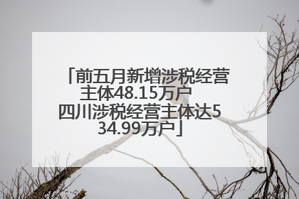 前五月新增涉税经营主体48.15万户 四川涉税经营主体达534.99万户