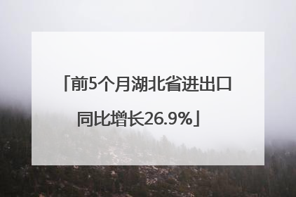 前5个月湖北省进出口同比增长26.9%