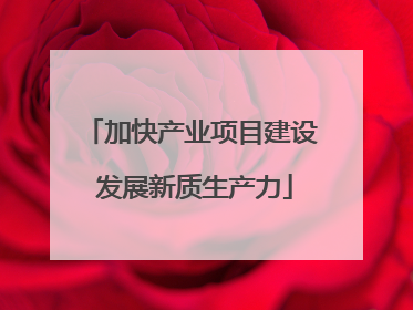 加快产业项目建设 发展新质生产力