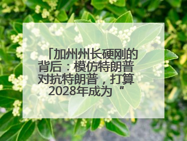 加州州长硬刚的背后：模仿特朗普对抗特朗普，打算2028年成为“特朗普”