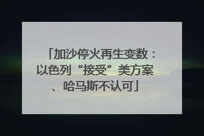 加沙停火再生变数：以色列“接受”美方案、哈马斯不认可