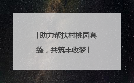 助力帮扶村桃园套袋，共筑丰收梦