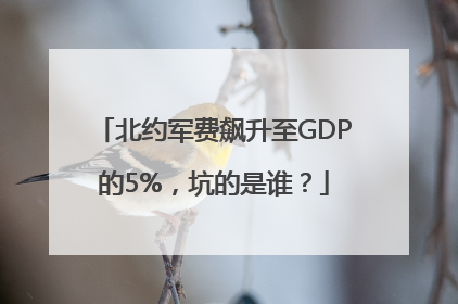 北约军费飙升至GDP的5%，坑的是谁？