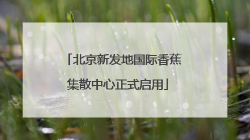 北京新发地国际香蕉集散中心正式启用