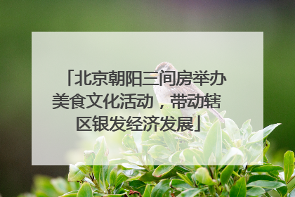 北京朝阳三间房举办美食文化活动，带动辖区银发经济发展