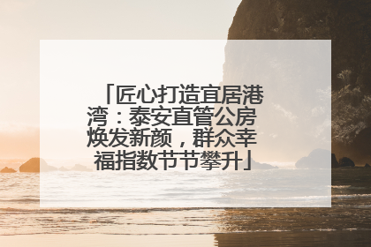 匠心打造宜居港湾：泰安直管公房焕发新颜，群众幸福指数节节攀升