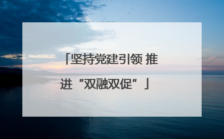 坚持党建引领 推进“双融双促”