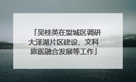 吴桂英在望城区调研大泽湖片区建设、文科旅医融合发展等工作