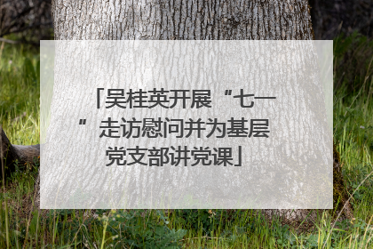 吴桂英开展“七一”走访慰问并为基层党支部讲党课