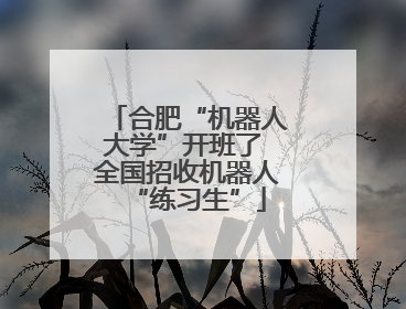 合肥“机器人大学”开班了 全国招收机器人“练习生”