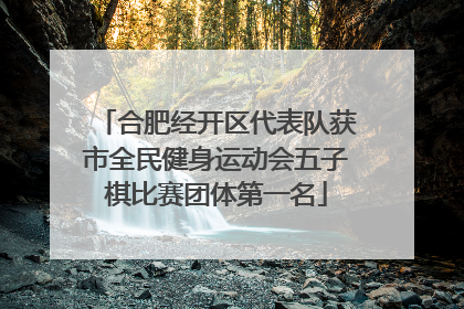 合肥经开区代表队获市全民健身运动会五子棋比赛团体第一名