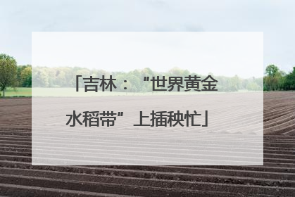 吉林：“世界黄金水稻带”上插秧忙