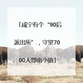 咸宁有个“90后派出所”，守望7000人鄂南小镇