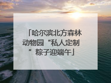 哈尔滨北方森林动物园“私人定制”粽子迎端午