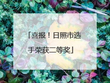喜报！日照市选手荣获二等奖