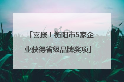 喜报！衡阳市5家企业获得省级品牌奖项