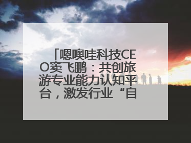 嗯噢哇科技CEO窦飞鹏：共创旅游专业能力认知平台，激发行业“自生长”力量