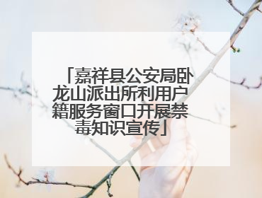 嘉祥县公安局卧龙山派出所利用户籍服务窗口开展禁毒知识宣传