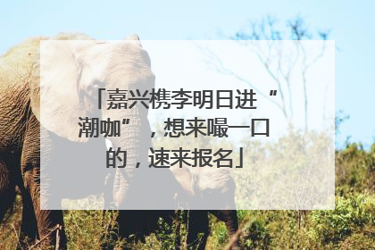 嘉兴槜李明日进“潮咖”，想来嘬一口的，速来报名