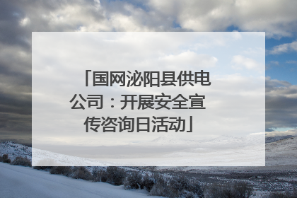 国网泌阳县供电公司：开展安全宣传咨询日活动