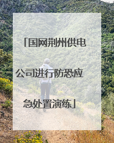 国网荆州供电公司进行防恐应急处置演练