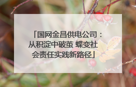 国网金昌供电公司：从积淀中破茧 蝶变社会责任实践新路径