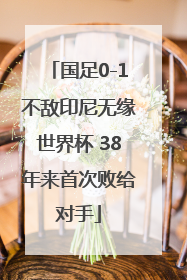 国足0-1不敌印尼无缘世界杯 38年来首次败给对手