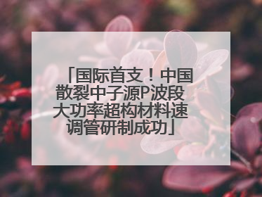 国际首支！中国散裂中子源P波段大功率超构材料速调管研制成功