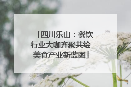 四川乐山：餐饮行业大咖齐聚共绘美食产业新蓝图