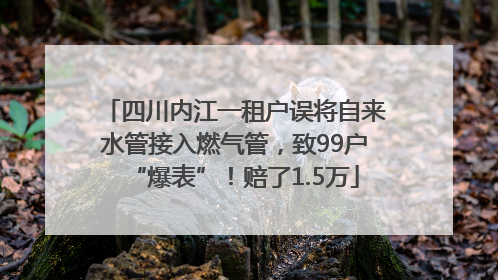四川内江一租户误将自来水管接入燃气管，致99户“爆表”！赔了1.5万