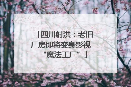 四川射洪：老旧厂房即将变身影视“魔法工厂”