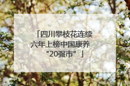 四川攀枝花连续六年上榜中国康养“20强市”
