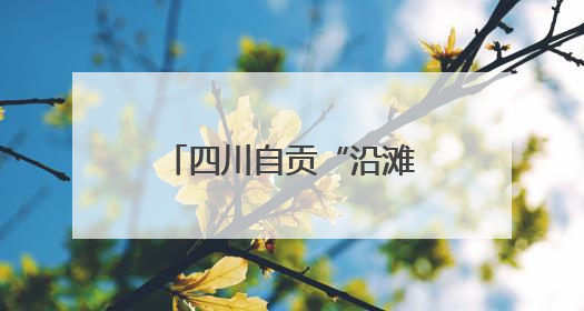 四川自贡“沿滩造”产品闪耀西博会 新材料与特色产品备受关注