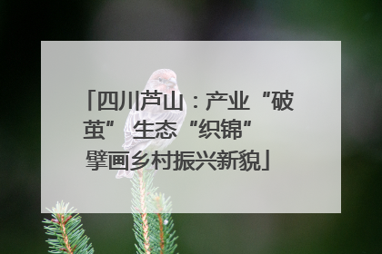 四川芦山：产业“破茧” 生态“织锦” 擘画乡村振兴新貌