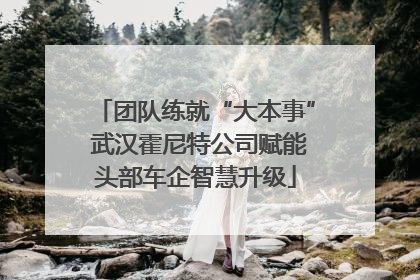 团队练就“大本事” 武汉霍尼特公司赋能头部车企智慧升级