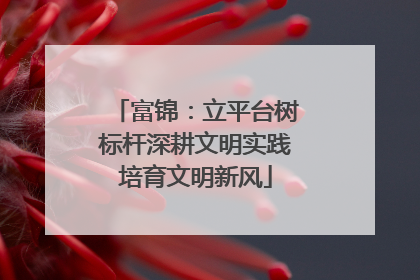富锦：立平台树标杆深耕文明实践培育文明新风