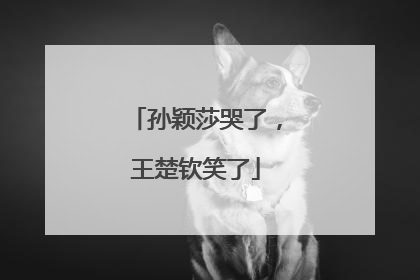 孙颖莎哭了，王楚钦笑了